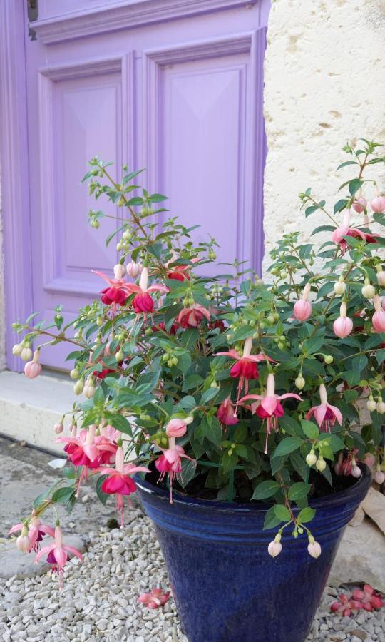 Ventouse Gite Rural La Maison Mauve מראה חיצוני תמונה